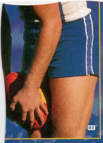 1995 Bewick Enterprises AFLPA Football Quarters #3 Wayne Carey Front